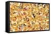 Emoji Big Scramble-Ali Lynne-Framed Stretched Canvas