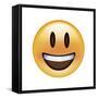 Emoji Big Smile-Ali Lynne-Framed Stretched Canvas