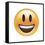 Emoji Big Smile-Ali Lynne-Framed Stretched Canvas