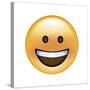 Emoji Circle Eye Smile-Ali Lynne-Stretched Canvas