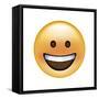 Emoji Circle Eye Smile-Ali Lynne-Framed Stretched Canvas