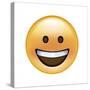 Emoji Circle Eye Smile-Ali Lynne-Stretched Canvas