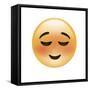Emoji Small Smile-Ali Lynne-Framed Stretched Canvas