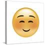 Emoji Squint Small Smile-Ali Lynne-Stretched Canvas