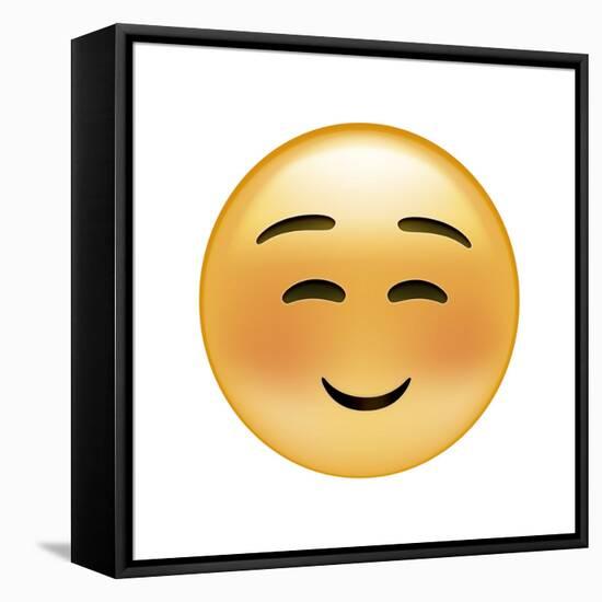 Emoji Squint Small Smile-Ali Lynne-Framed Stretched Canvas