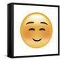 Emoji Squint Small Smile-Ali Lynne-Framed Stretched Canvas