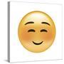 Emoji Squint Small Smile-Ali Lynne-Stretched Canvas