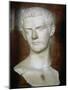 Emperor Caligula Roman, circa 31-38-null-Mounted Giclee Print