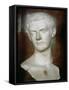 Emperor Caligula Roman, circa 31-38-null-Framed Stretched Canvas