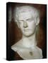 Emperor Caligula Roman, circa 31-38-null-Stretched Canvas