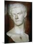 Emperor Caligula Roman, circa 31-38-null-Mounted Giclee Print