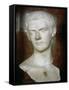 Emperor Caligula Roman, circa 31-38-null-Framed Stretched Canvas