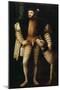 Emperor Charles V with a Dog, C. 1530-33-Titian (Tiziano Vecelli)-Mounted Giclee Print