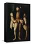 Emperor Charles V with a Dog, C. 1530-33-Titian (Tiziano Vecelli)-Framed Stretched Canvas