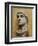 Emperor Constantine the Great (306-337 CE)-null-Framed Giclee Print