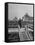 Emperor Hirohito Standing on Platform and Waving to the Crowd-Carl Mydans-Framed Stretched Canvas