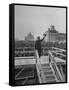 Emperor Hirohito Standing on Platform and Waving to the Crowd-Carl Mydans-Framed Stretched Canvas