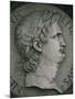 Emperor Nero in Marble, Certosa Di Pavia, Lombardy, Italy, Europe-Hart Kim-Mounted Photographic Print