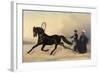 Emperor Nicholas I on a Winter Outing, 1853-Nikolai Egorevich Sverchkov-Framed Giclee Print