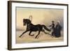 Emperor Nicholas I on a Winter Outing, 1853-Nikolai Egorevich Sverchkov-Framed Giclee Print