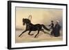 Emperor Nicholas I on a Winter Outing, 1853-Nikolai Egorevich Sverchkov-Framed Giclee Print