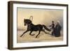 Emperor Nicholas I on a Winter Outing, 1853-Nikolai Egorevich Sverchkov-Framed Giclee Print