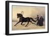 Emperor Nicholas I on a Winter Outing, 1853-Nikolai Egorevich Sverchkov-Framed Giclee Print