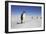 Emperor Penguin, Adult in Foreground with People Behind-null-Framed Photographic Print