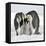 Emperor Penguin Adults with Chick-null-Framed Stretched Canvas
