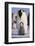 Emperor Penguin and Baby-DLILLC-Framed Photographic Print