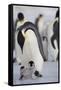 Emperor Penguin and Chick in Antarctica-Paul Souders-Framed Stretched Canvas