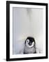 Emperor Penguin and Chick in Antarctica-Paul Souders-Framed Photographic Print