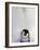 Emperor Penguin and Chick in Antarctica-Paul Souders-Framed Photographic Print