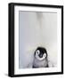 Emperor Penguin and Chick in Antarctica-Paul Souders-Framed Photographic Print