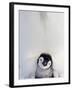 Emperor Penguin and Chick in Antarctica-Paul Souders-Framed Photographic Print