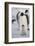 Emperor Penguin and Chick in Antarctica-null-Framed Photographic Print