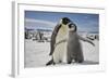 Emperor Penguin and Chick in Antarctica-Paul Souders-Framed Photographic Print