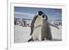 Emperor Penguin and Chick in Antarctica-Paul Souders-Framed Photographic Print