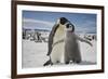 Emperor Penguin and Chick in Antarctica-Paul Souders-Framed Photographic Print