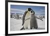 Emperor Penguin and Chick in Antarctica-Paul Souders-Framed Photographic Print