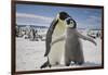 Emperor Penguin and Chick in Antarctica-Paul Souders-Framed Photographic Print