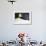 Emperor Penguin (Aptenodytes forsteri) adult, close-up of feathers, Snow Hill Island, Weddell Sea-Bill Coster-Framed Photographic Print displayed on a wall