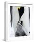 Emperor Penguin (Aptenodytes Forsteri) and Chick, Snow Hill Island, Weddell Sea, Antarctica-Thorsten Milse-Framed Photographic Print