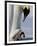 Emperor Penguin (Aptenodytes Forsteri) and Chick, Snow Hill Island, Weddell Sea, Antarctica-Thorsten Milse-Framed Photographic Print