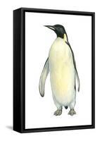 Emperor Penguin (Aptenodytes Forsteri), Birds-Encyclopaedia Britannica-Framed Stretched Canvas