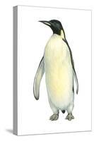 Emperor Penguin (Aptenodytes Forsteri), Birds-Encyclopaedia Britannica-Stretched Canvas