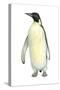 Emperor Penguin (Aptenodytes Forsteri), Birds-Encyclopaedia Britannica-Stretched Canvas