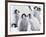 Emperor Penguin (Aptenodytes Forsteri) Chicks on Ice, Snow Hill Island, Antarctica-Keren Su-Framed Photographic Print