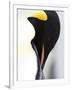 Emperor Penguin (Aptenodytes Forsteri), Snow Hill Island, Weddell Sea, Antarctica, Polar Regions-Thorsten Milse-Framed Premium Photographic Print