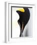 Emperor Penguin (Aptenodytes Forsteri), Snow Hill Island, Weddell Sea, Antarctica, Polar Regions-Thorsten Milse-Framed Photographic Print